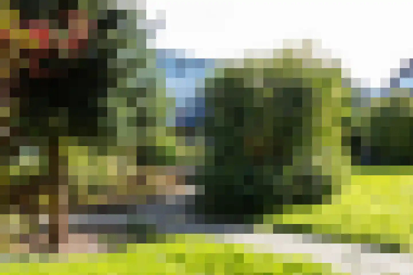 Henegouwsestraat 15 Ridderkerk thumbnail 5