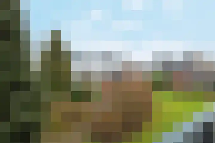 Henegouwsestraat 19 Ridderkerk thumbnail 33