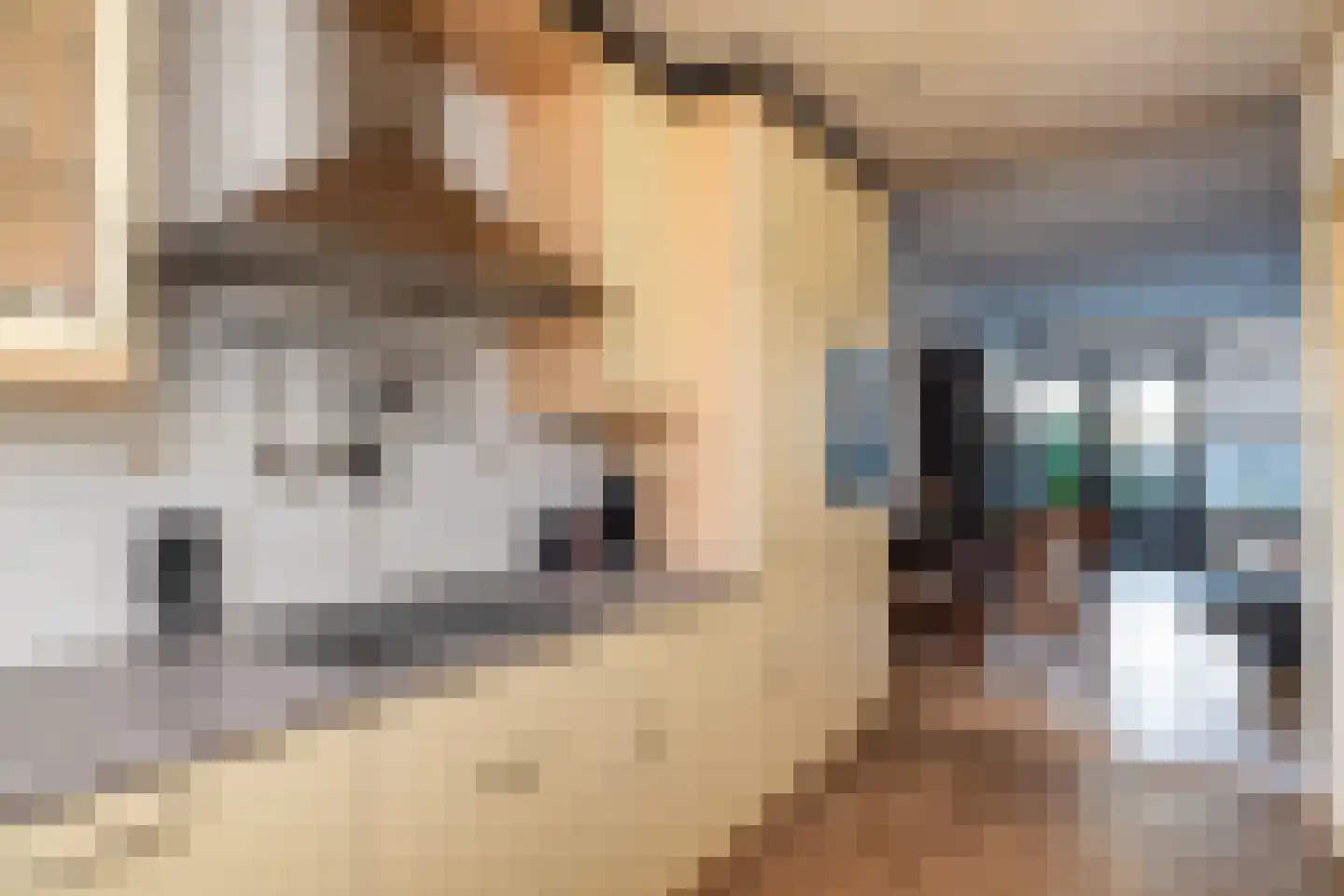 Henegouwsestraat 7 Ridderkerk thumbnail 14