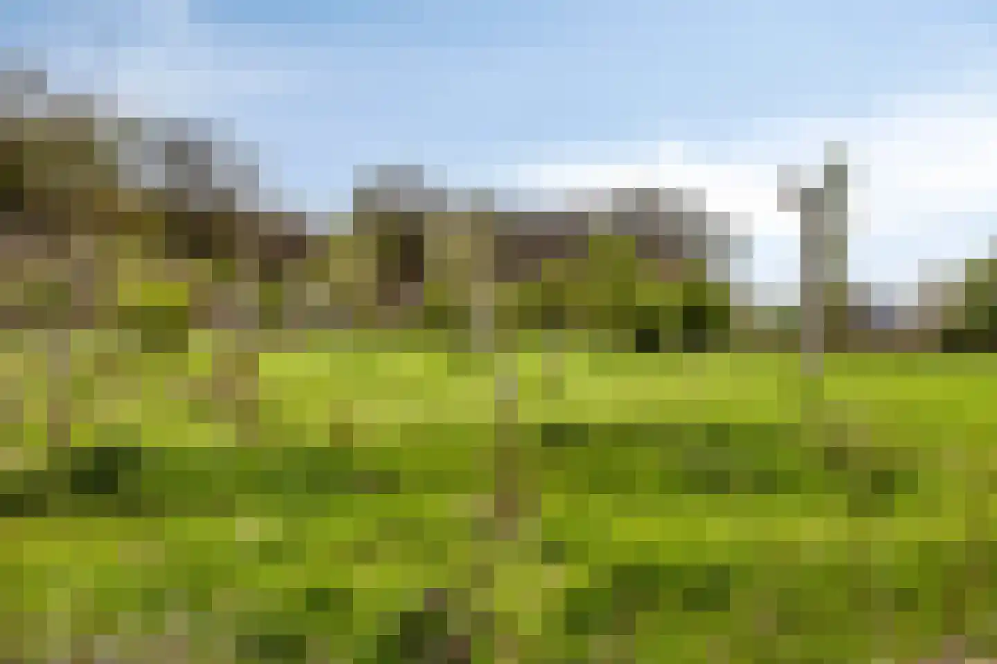 Hengeland 32 Afferden L thumbnail 14
