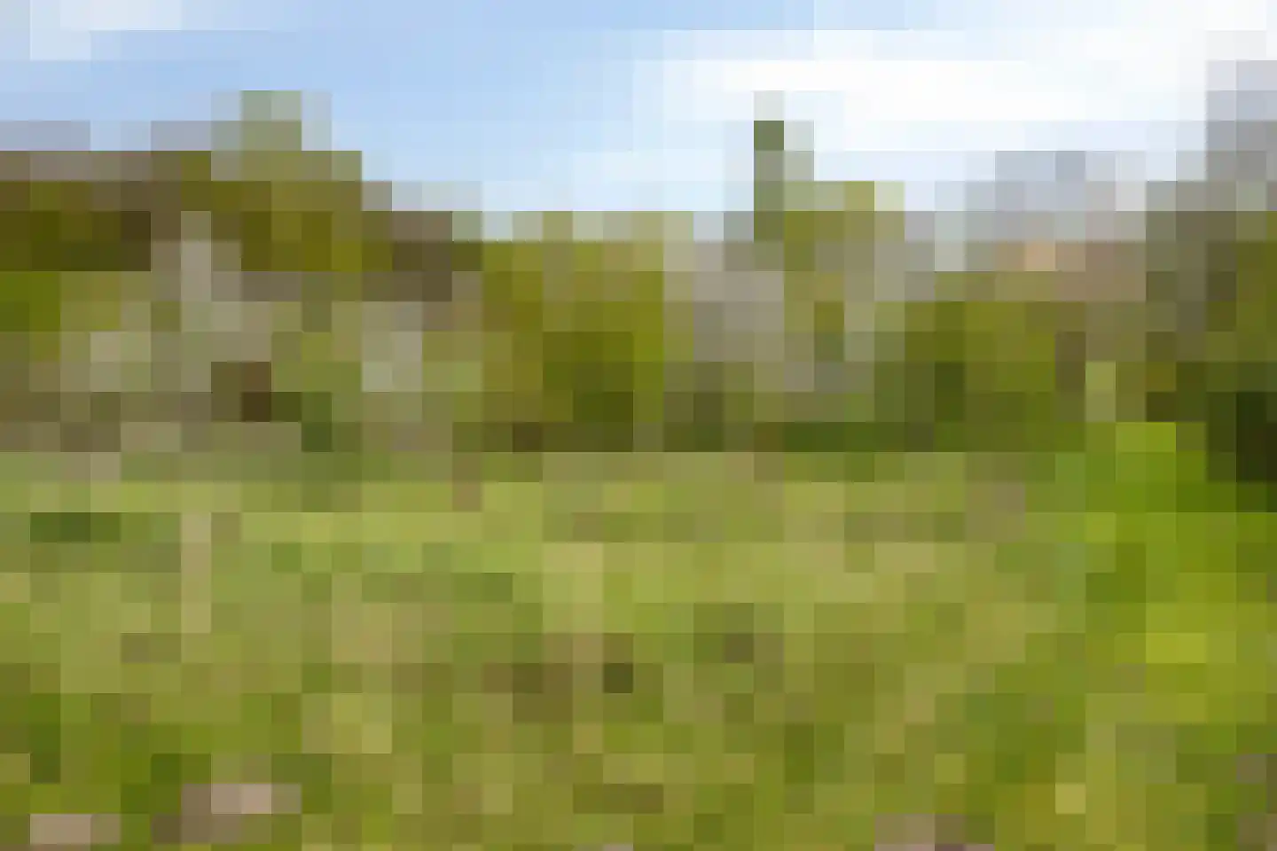 Hengeland 32 Afferden L thumbnail 15
