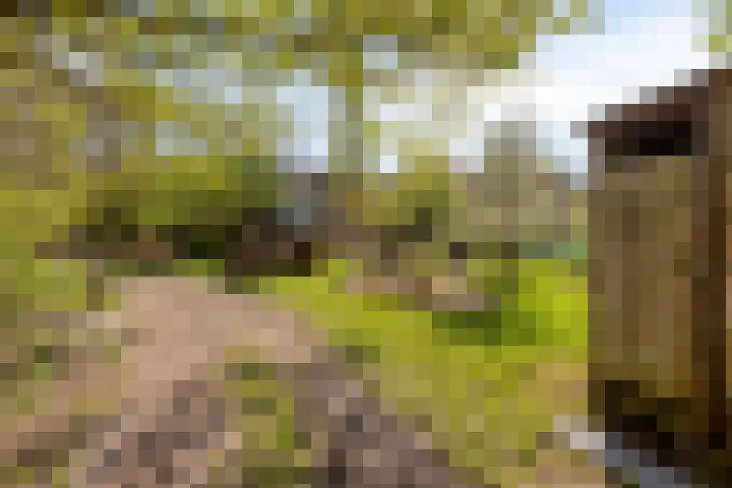 Hengeland 32 Afferden L thumbnail 20