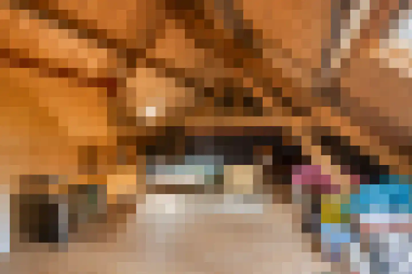 Hengeland 32 Afferden L thumbnail 8