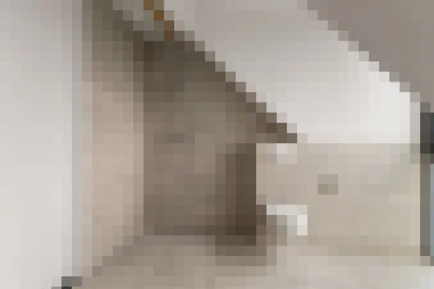 Hengelderweg 6 m Didam thumbnail 35