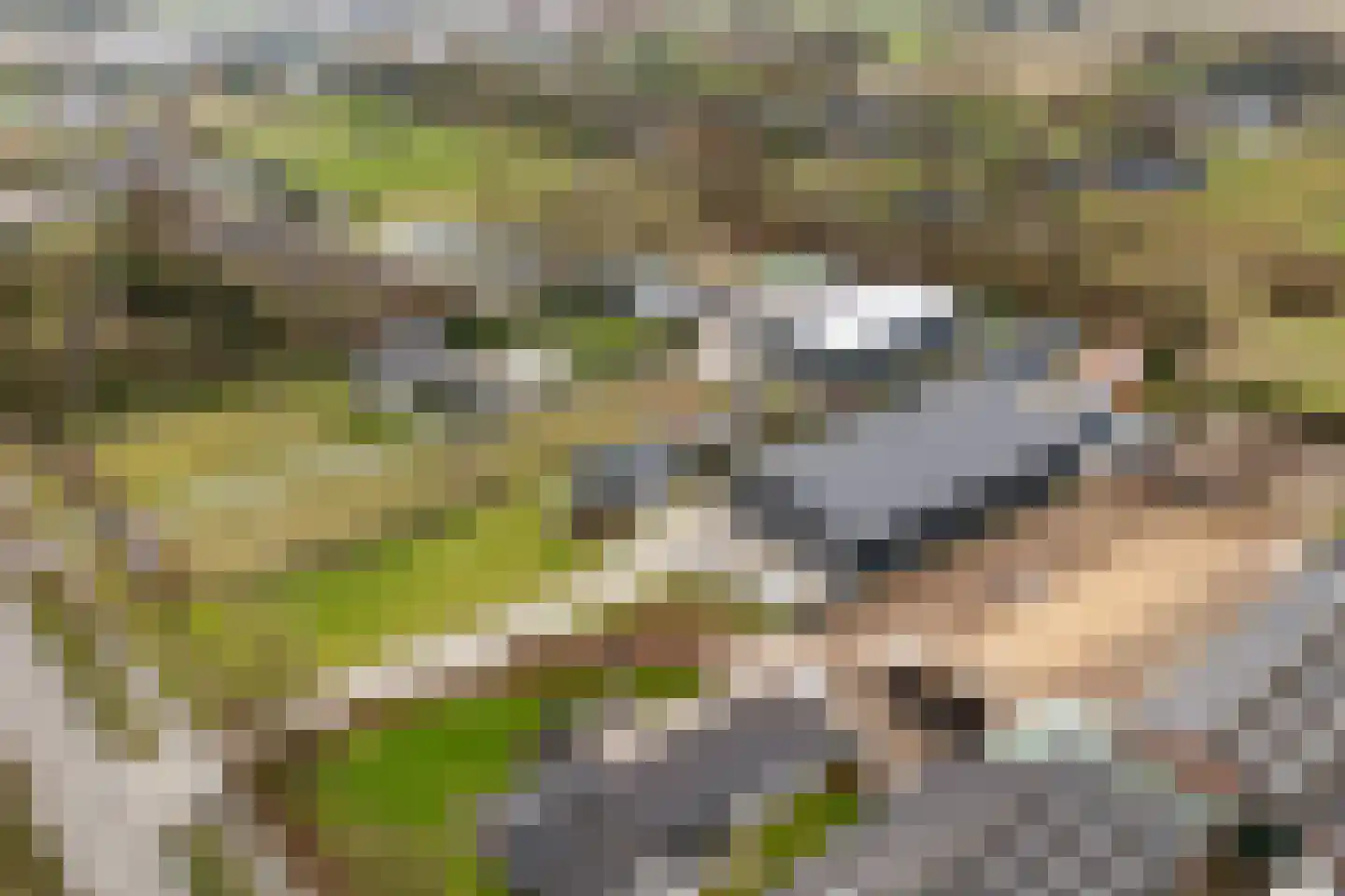 Hengelderweg 6 m Didam thumbnail 5