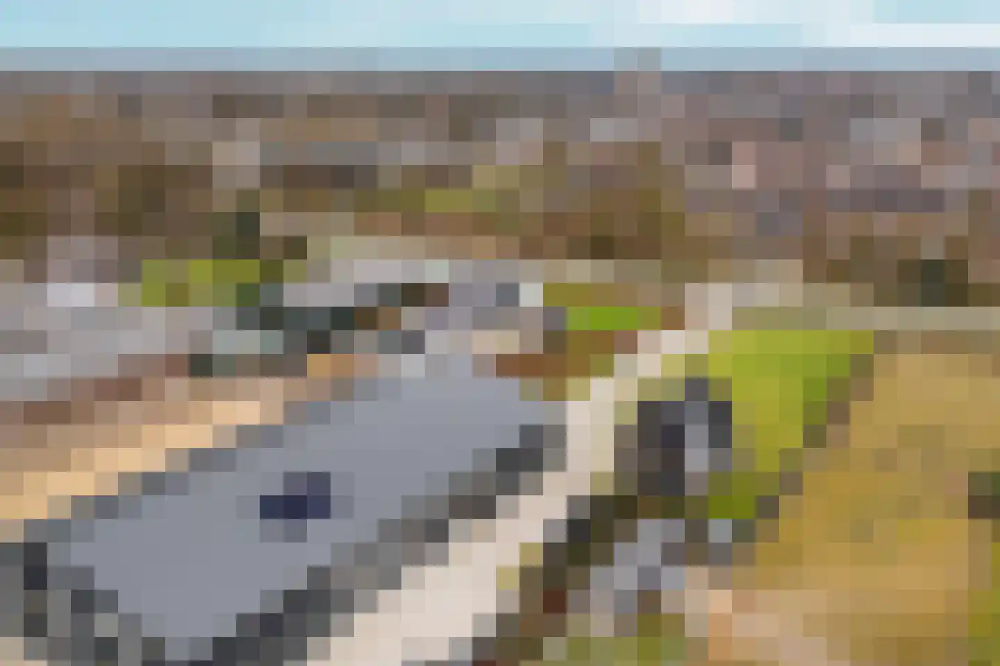 Hengelderweg 6 m Didam thumbnail 55
