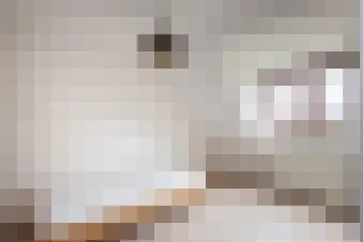 Hengeler 37 Neede thumbnail 14