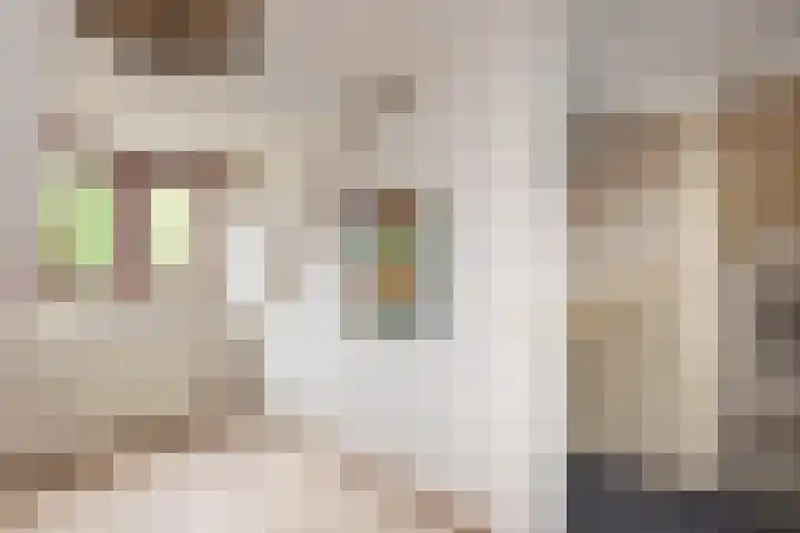 Hengeler 37 Neede thumbnail 22