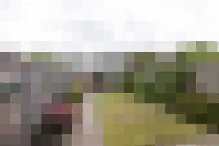 Hengeler 37 Neede thumbnail 29