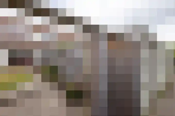 Hengeler 37 Neede thumbnail 30