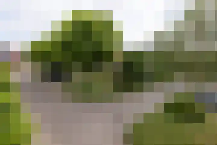 Hengeler 37 Neede thumbnail 35