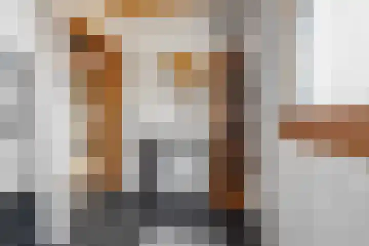Hengeler 54 Neede thumbnail 26