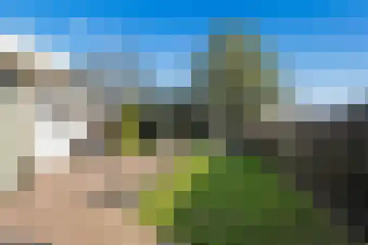 Hengeler 54 Neede thumbnail 41