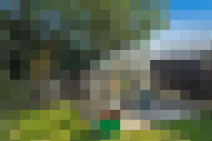 Hengeler 54 Neede thumbnail 48