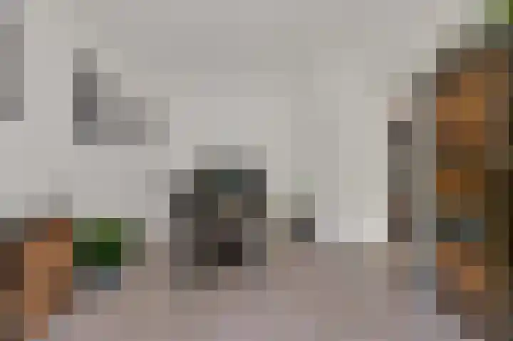 Hengelolaan 1070 Den Haag thumbnail 10