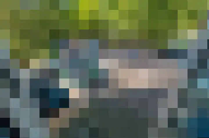 Hengelolaan 1070 Den Haag thumbnail 12