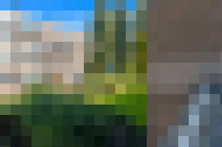 Hengelolaan 1070 Den Haag thumbnail 15