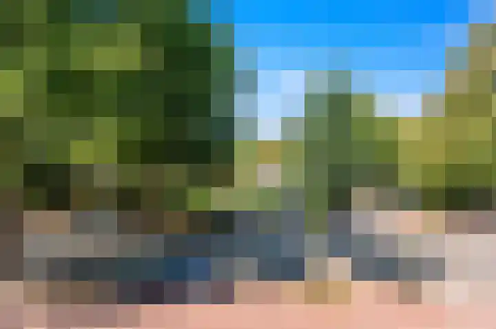 Hengelolaan 1070 Den Haag thumbnail 17