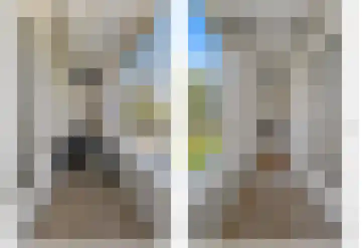Hengelolaan 1070 Den Haag thumbnail 22