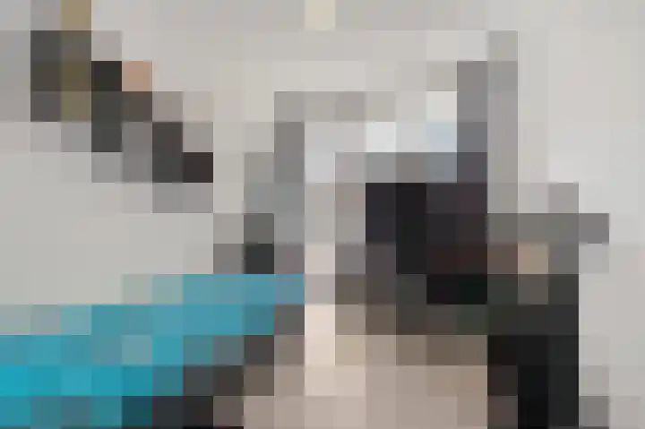 Hengelolaan 1070 Den Haag thumbnail 31