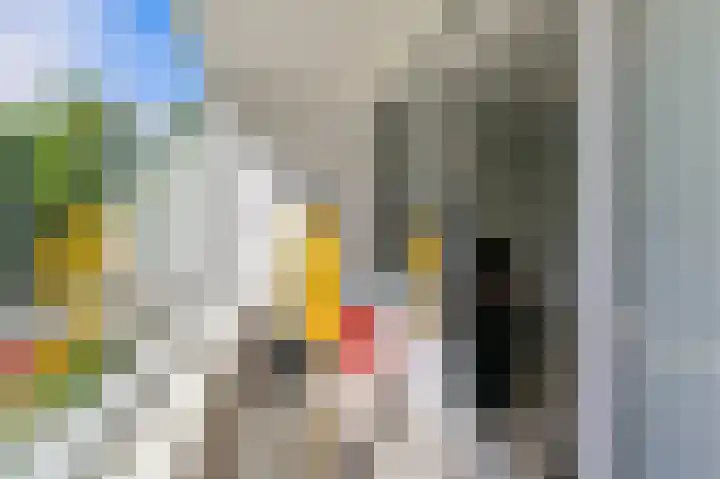 Hengelolaan 1070 Den Haag thumbnail 34