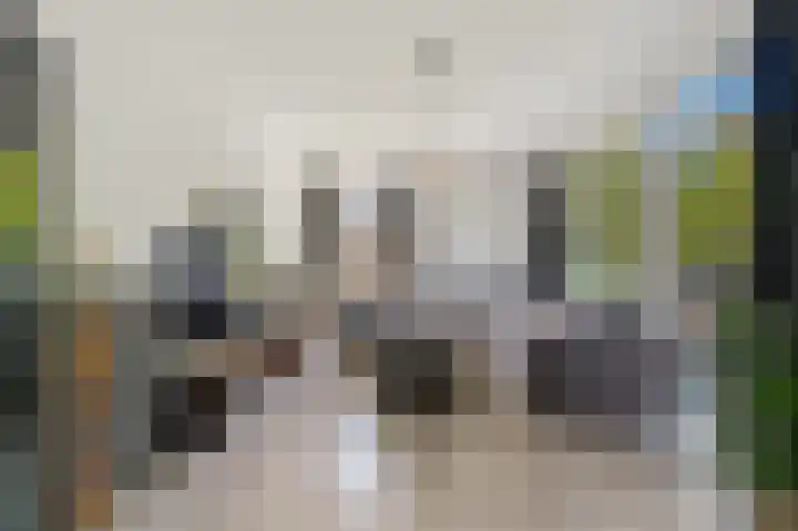 Hengelolaan 1070 Den Haag thumbnail 7