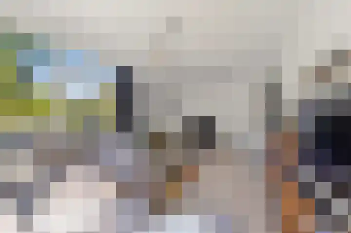 Hengelolaan 1070 Den Haag thumbnail 8
