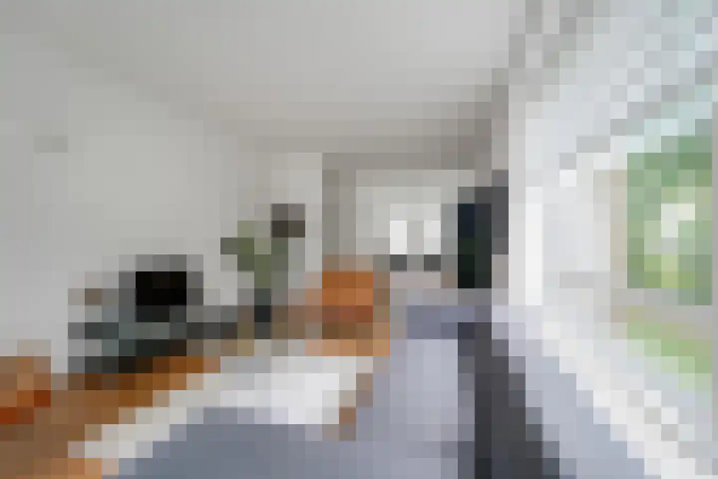 Hengelolaan 1132 Den Haag thumbnail 12