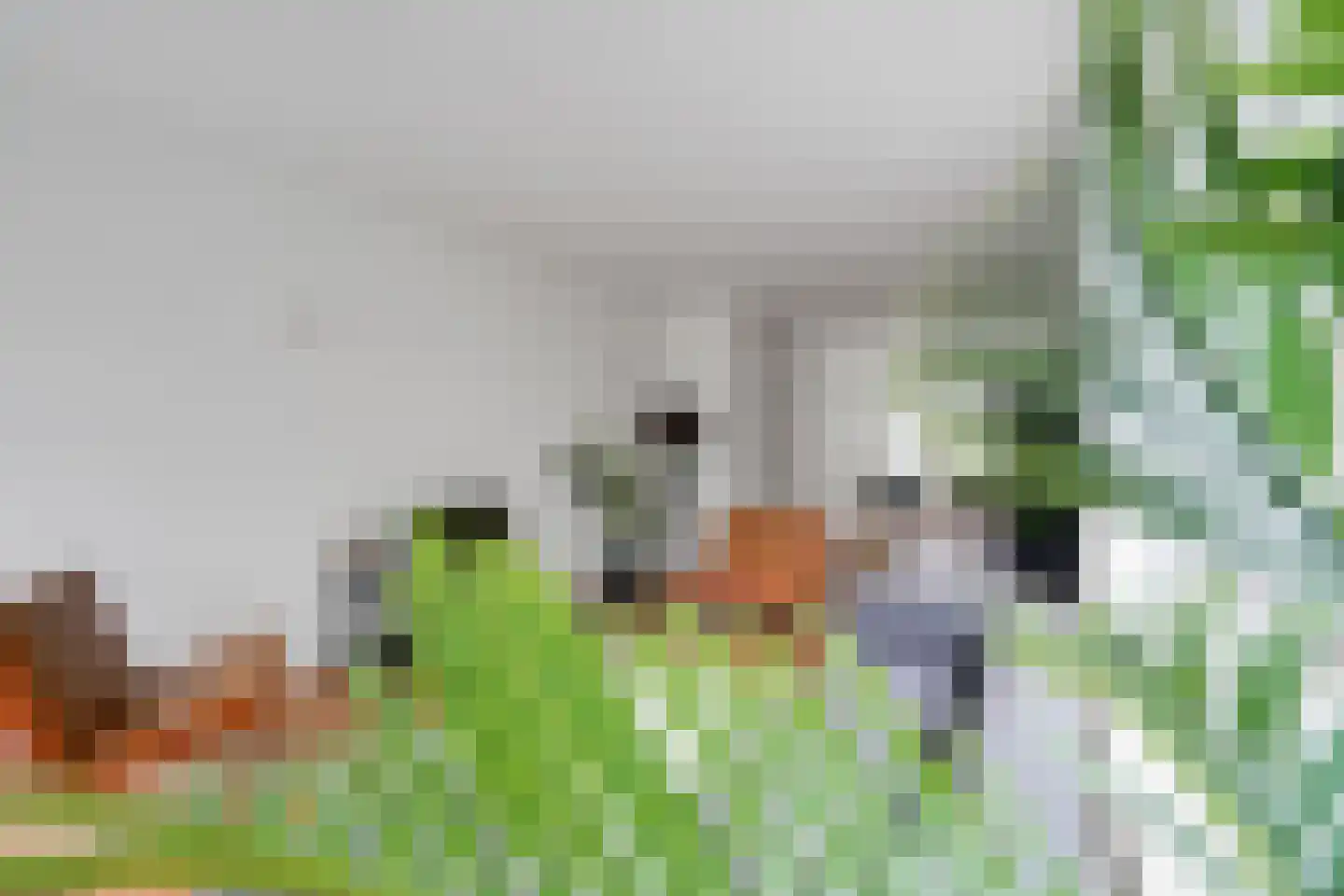 Hengelolaan 1132 Den Haag thumbnail 13