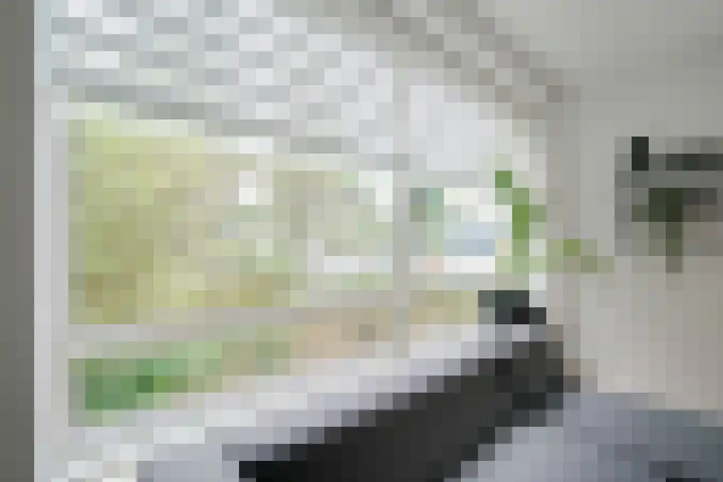 Hengelolaan 1132 Den Haag thumbnail 16