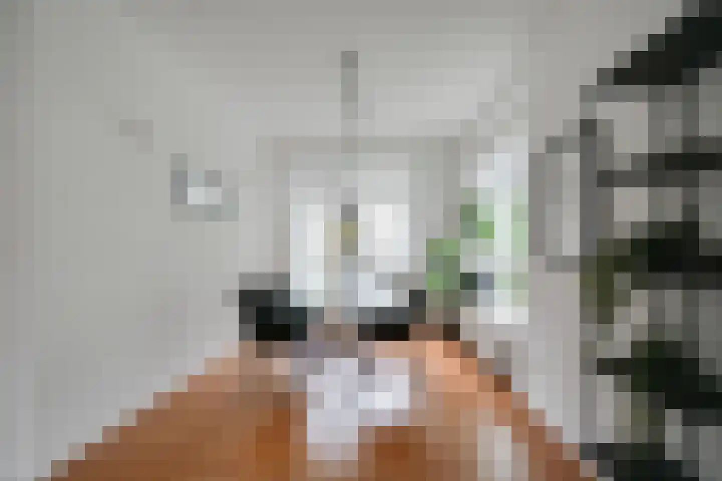 Hengelolaan 1132 Den Haag thumbnail 17