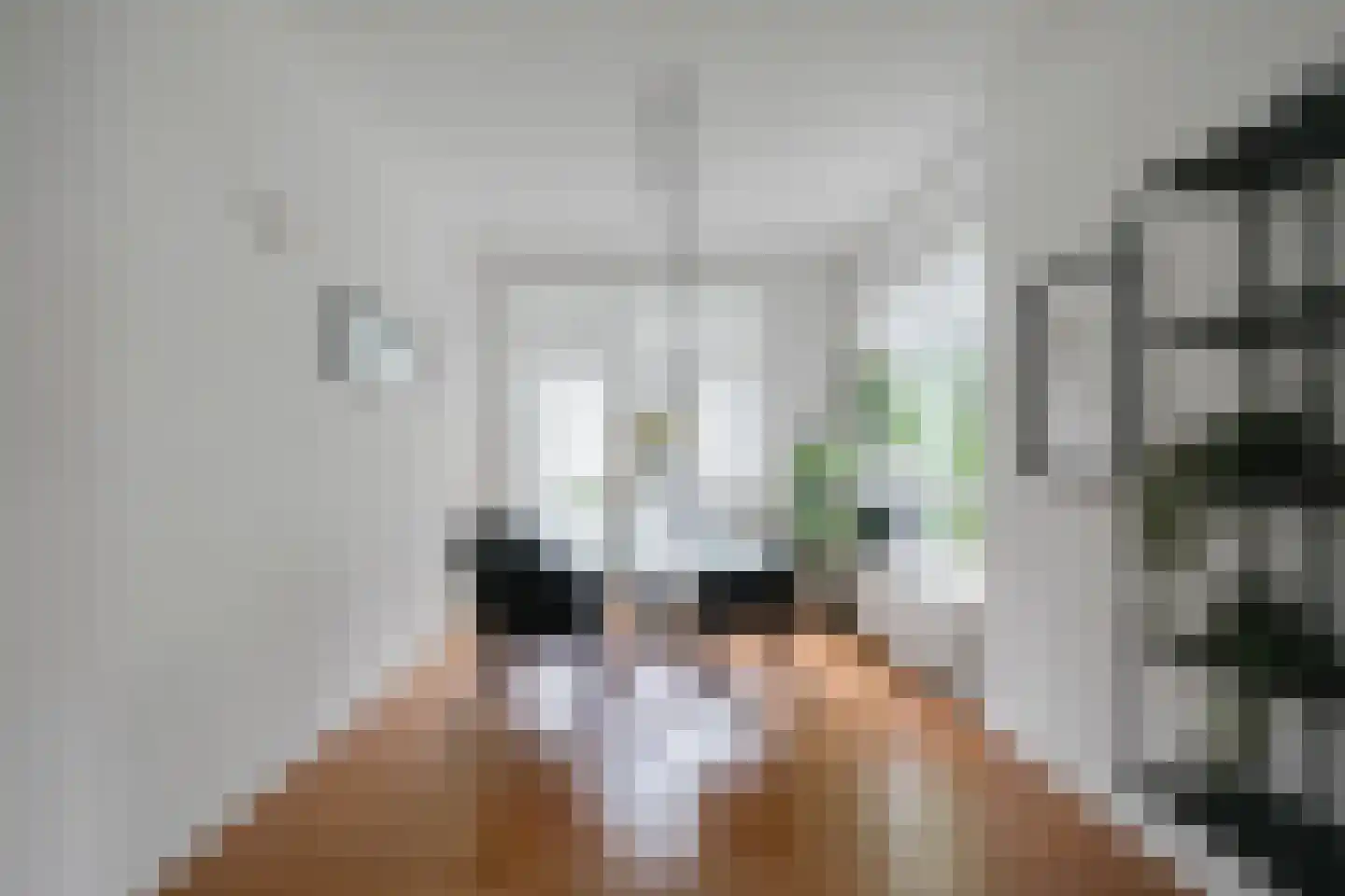 Hengelolaan 1132 Den Haag thumbnail 18