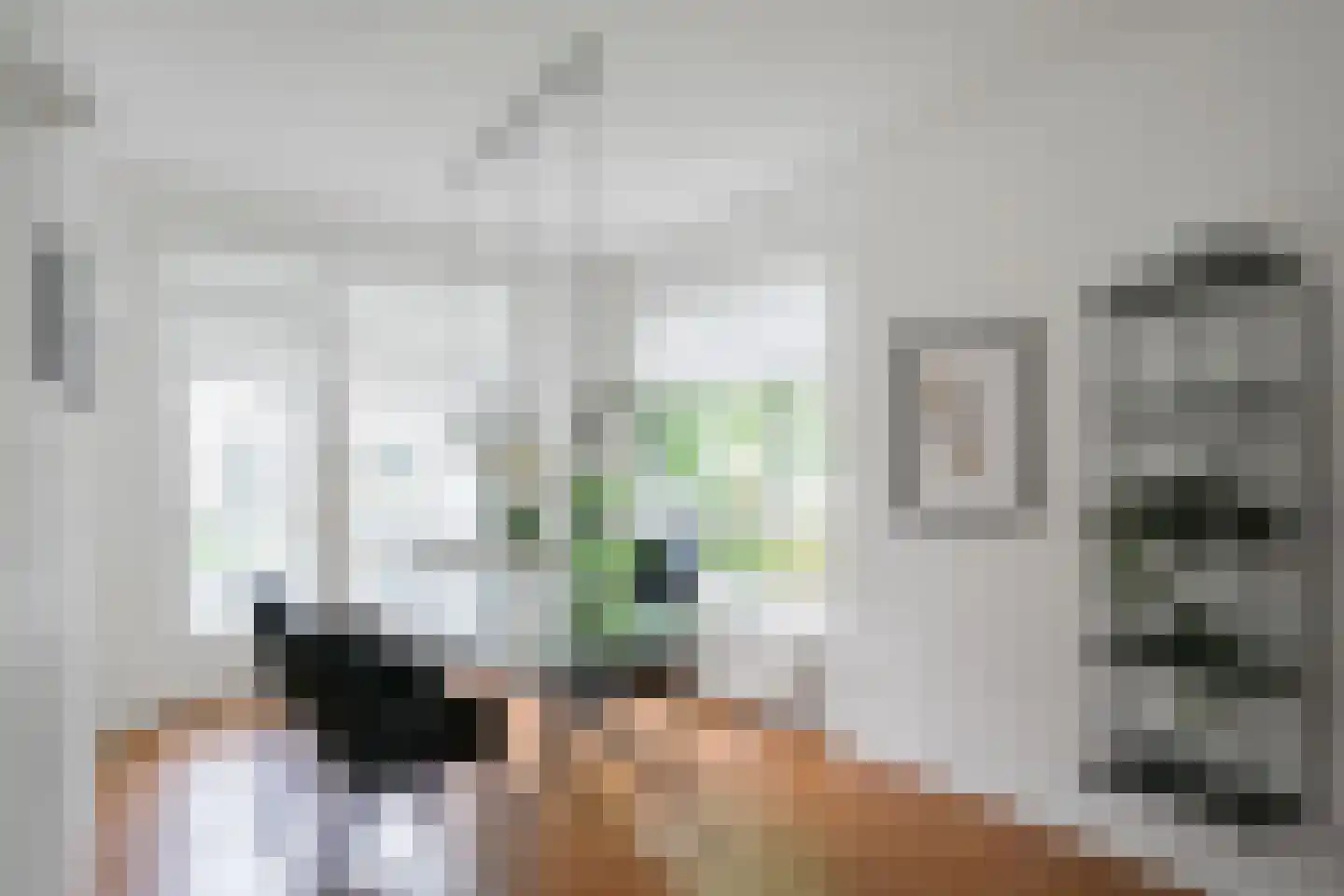 Hengelolaan 1132 Den Haag thumbnail 19