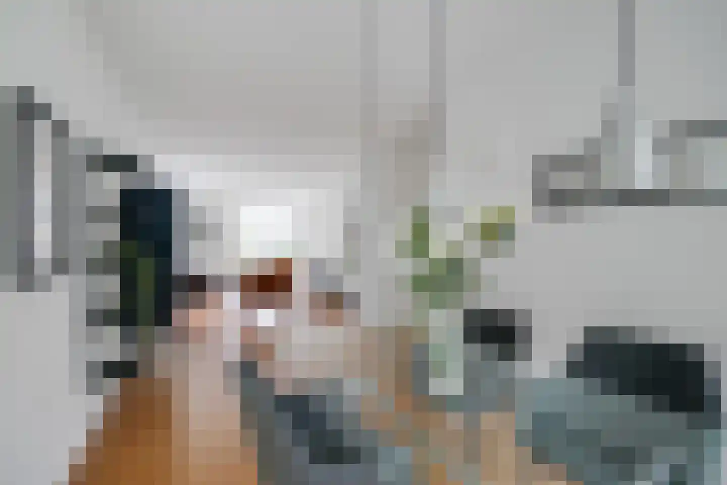 Hengelolaan 1132 Den Haag thumbnail 21