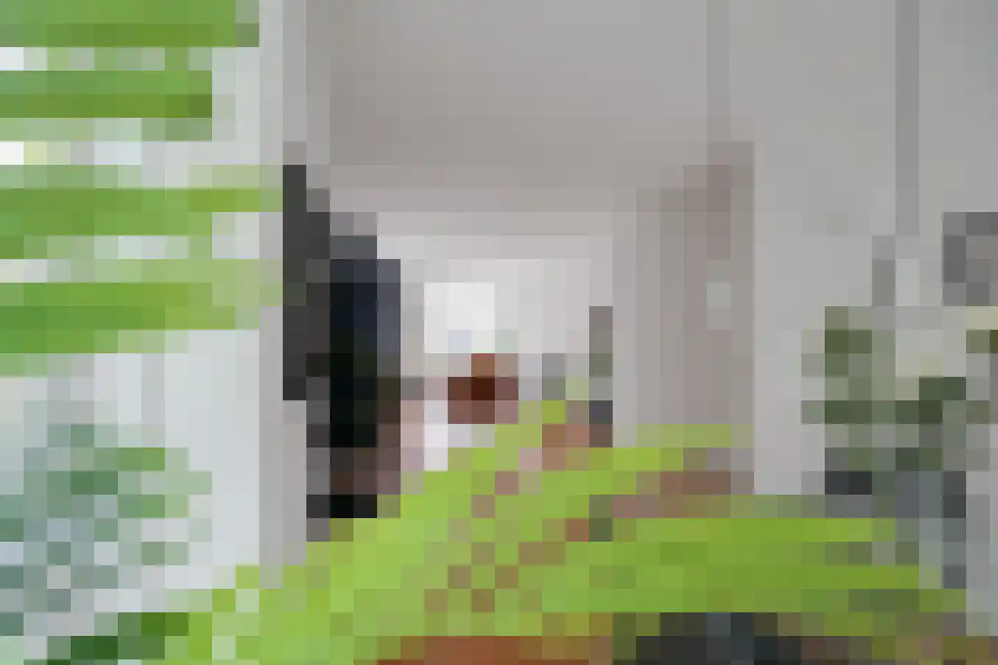 Hengelolaan 1132 Den Haag thumbnail 22