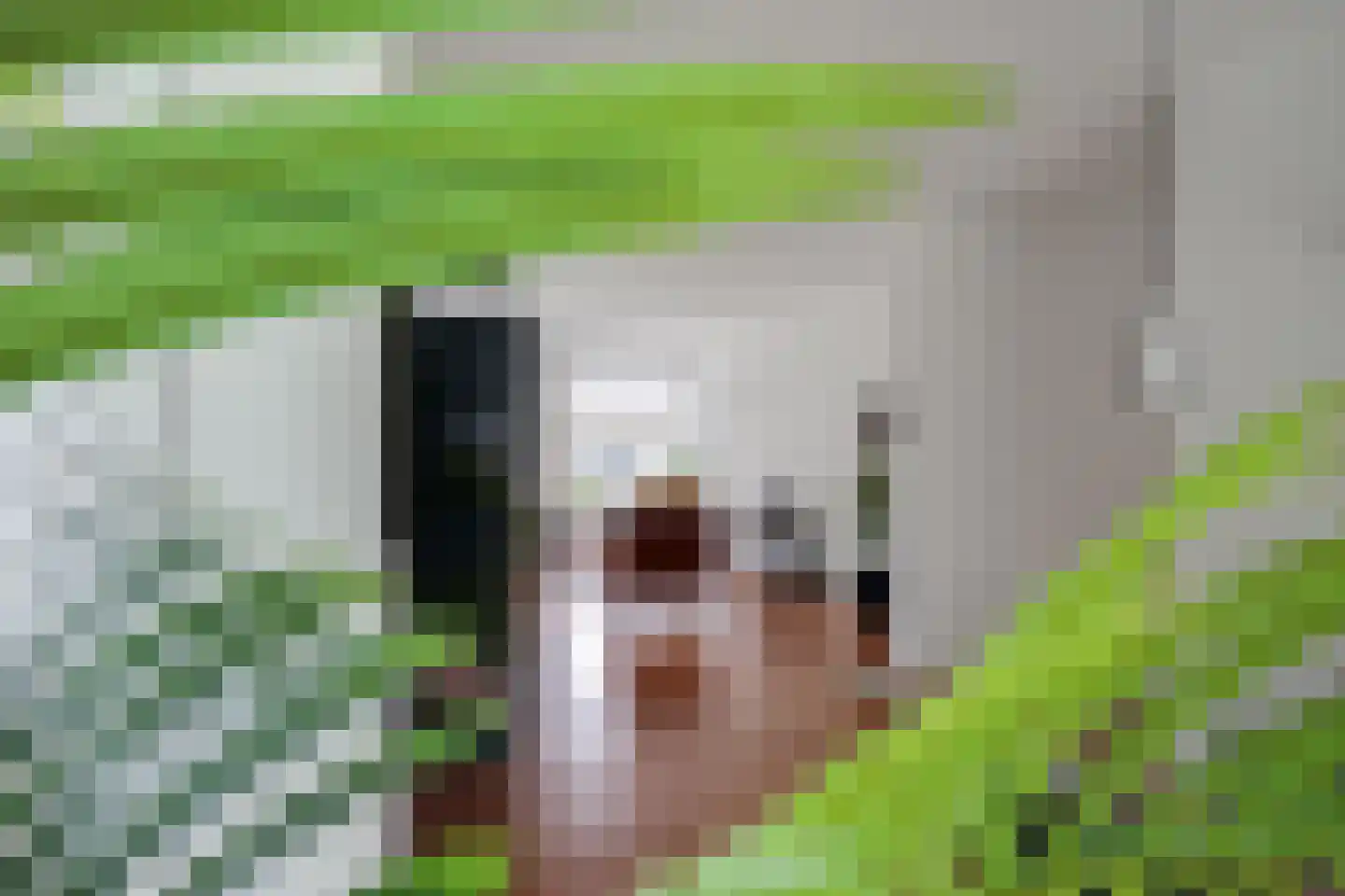 Hengelolaan 1132 Den Haag thumbnail 23