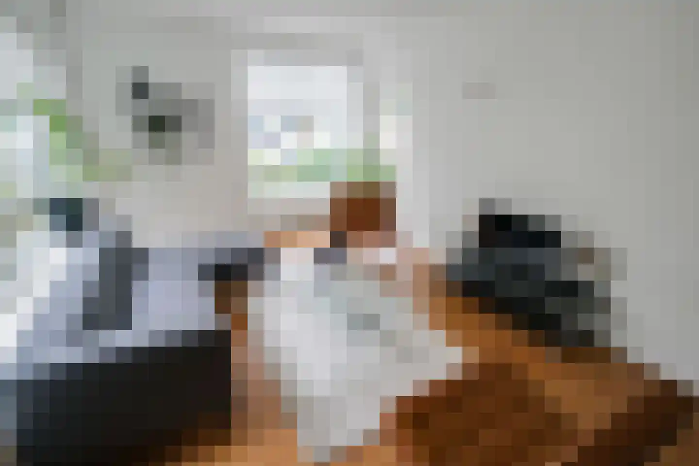 Hengelolaan 1132 Den Haag thumbnail 25