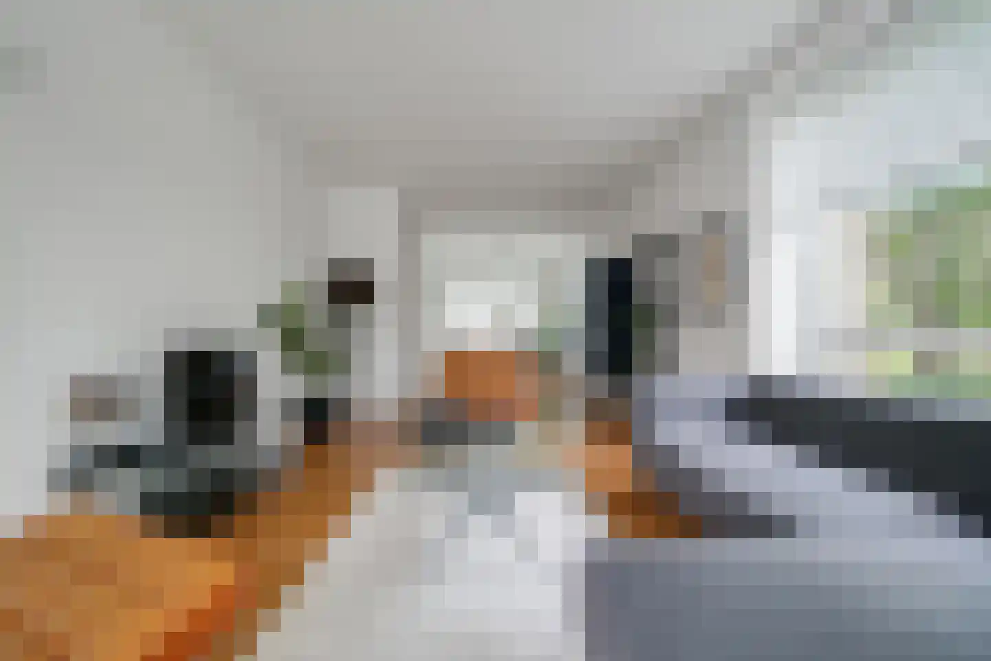 Hengelolaan 1132 Den Haag thumbnail 27