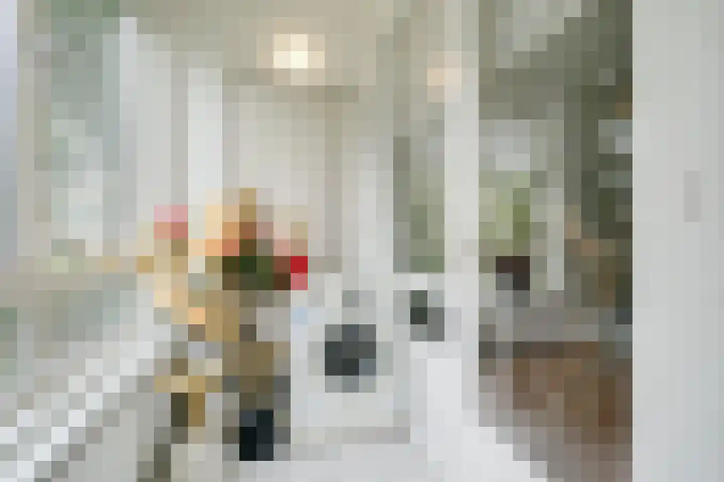 Hengelolaan 1132 Den Haag thumbnail 29