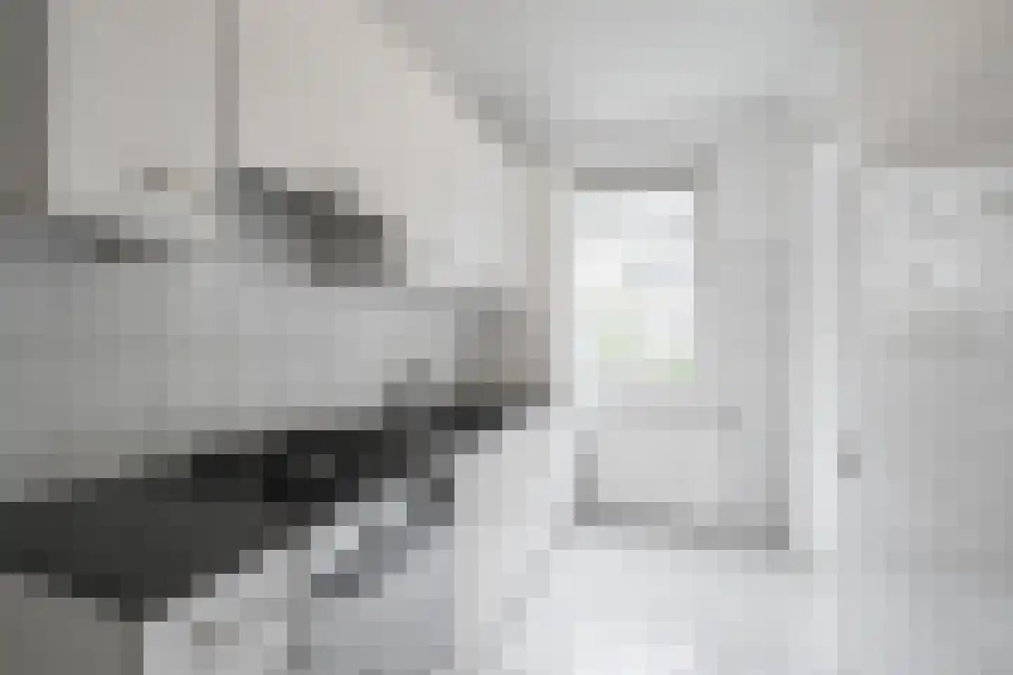 Hengelolaan 1132 Den Haag thumbnail 31