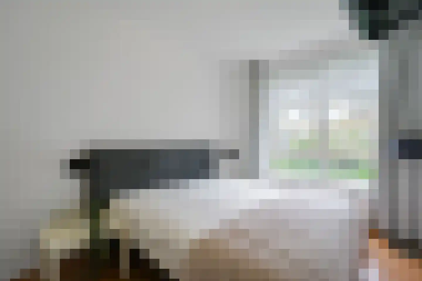 Hengelolaan 1132 Den Haag thumbnail 33