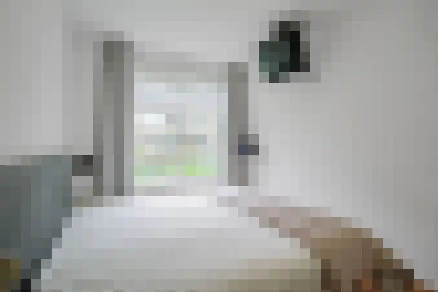 Hengelolaan 1132 Den Haag thumbnail 34