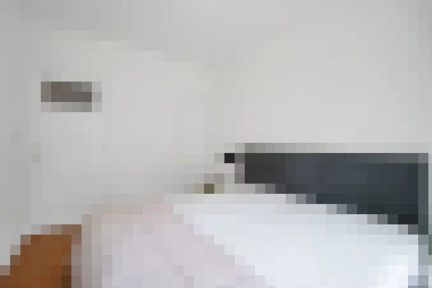 Hengelolaan 1132 Den Haag thumbnail 35