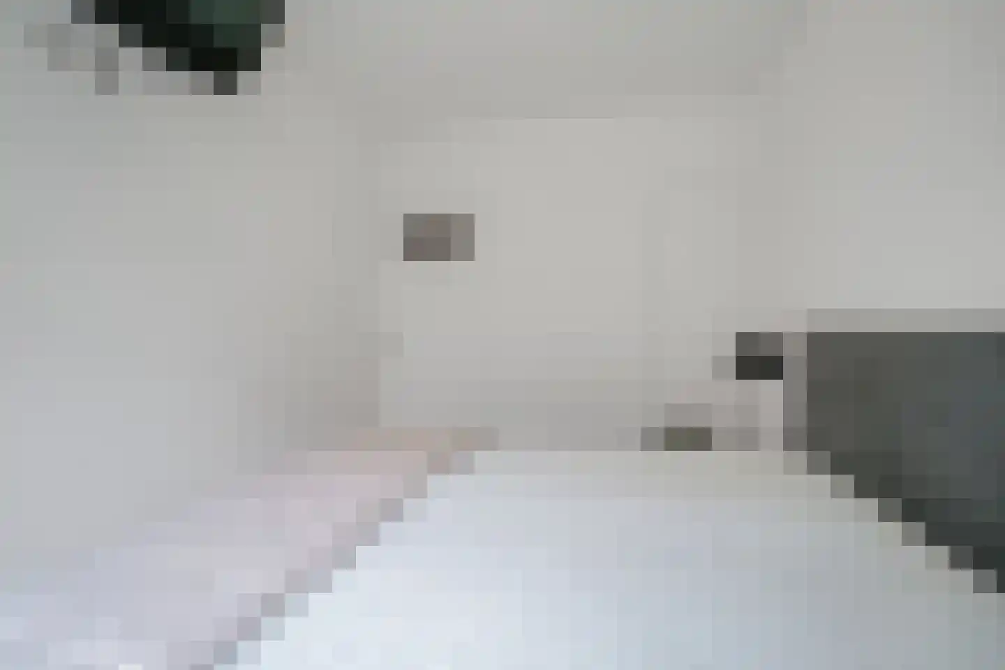 Hengelolaan 1132 Den Haag thumbnail 36