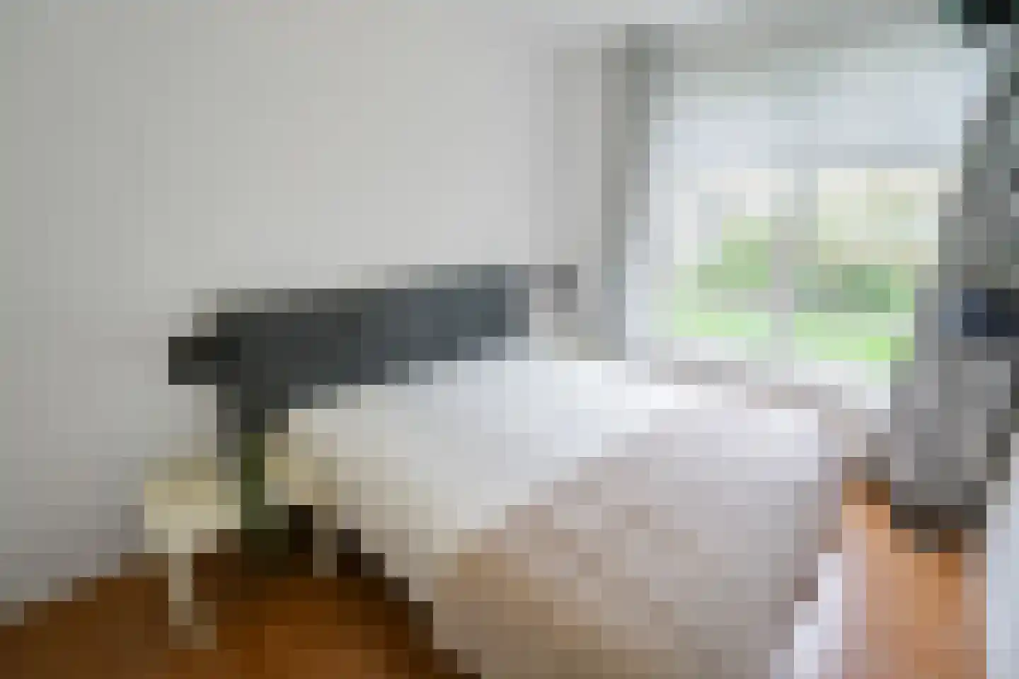 Hengelolaan 1132 Den Haag thumbnail 38
