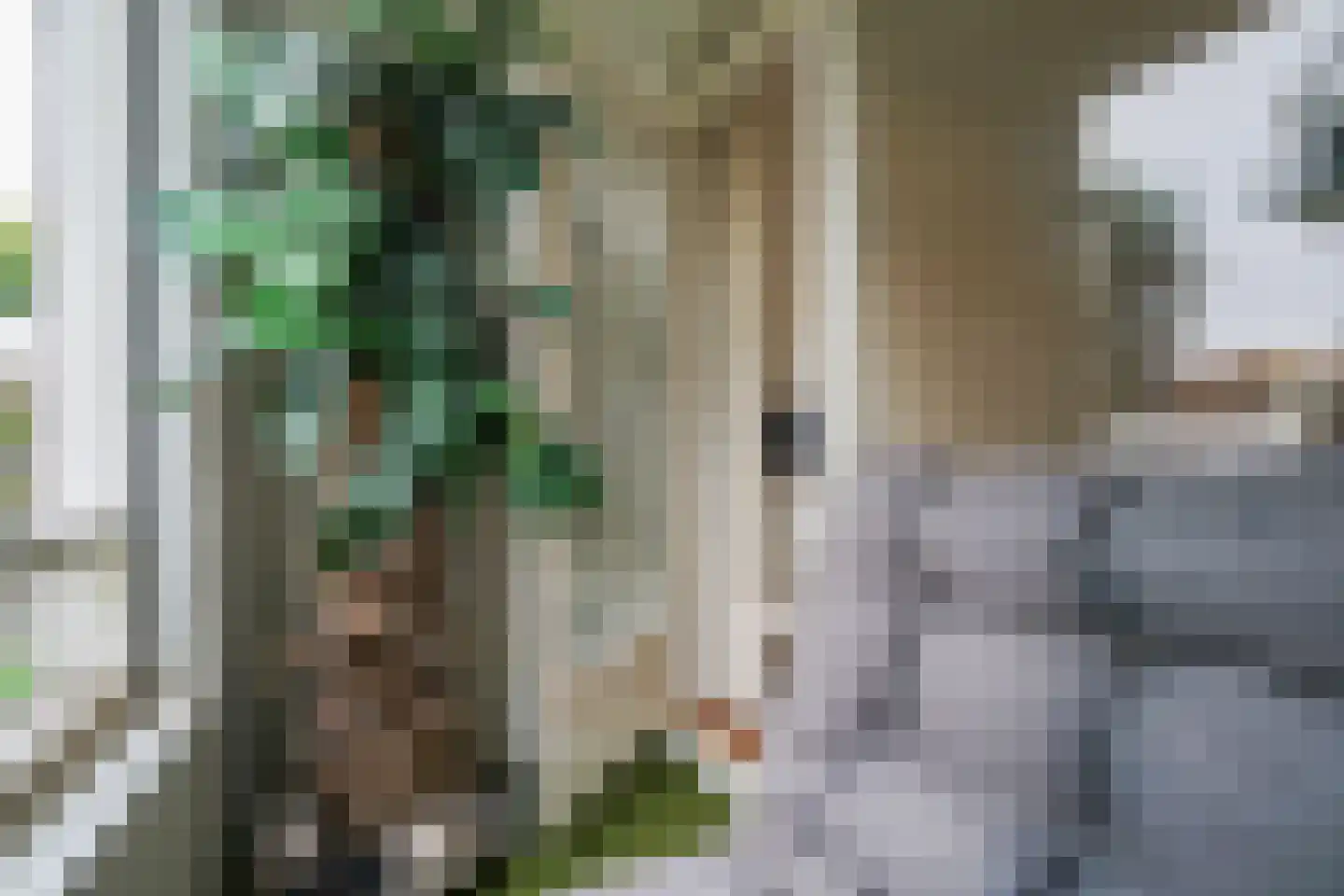 Hengelolaan 1132 Den Haag thumbnail 44
