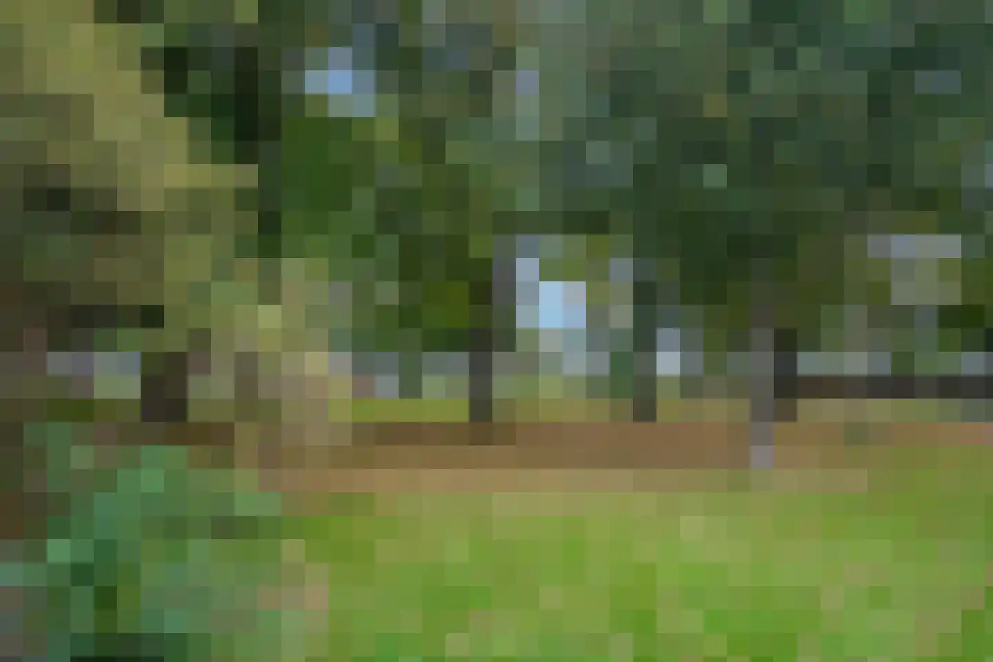 Hengelolaan 1132 Den Haag thumbnail 47