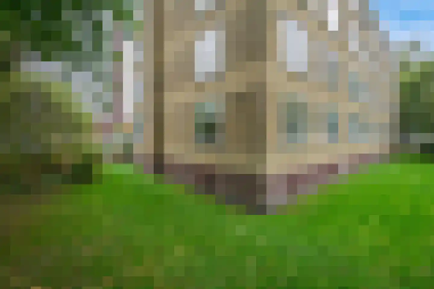 Hengelolaan 1132 Den Haag thumbnail 49