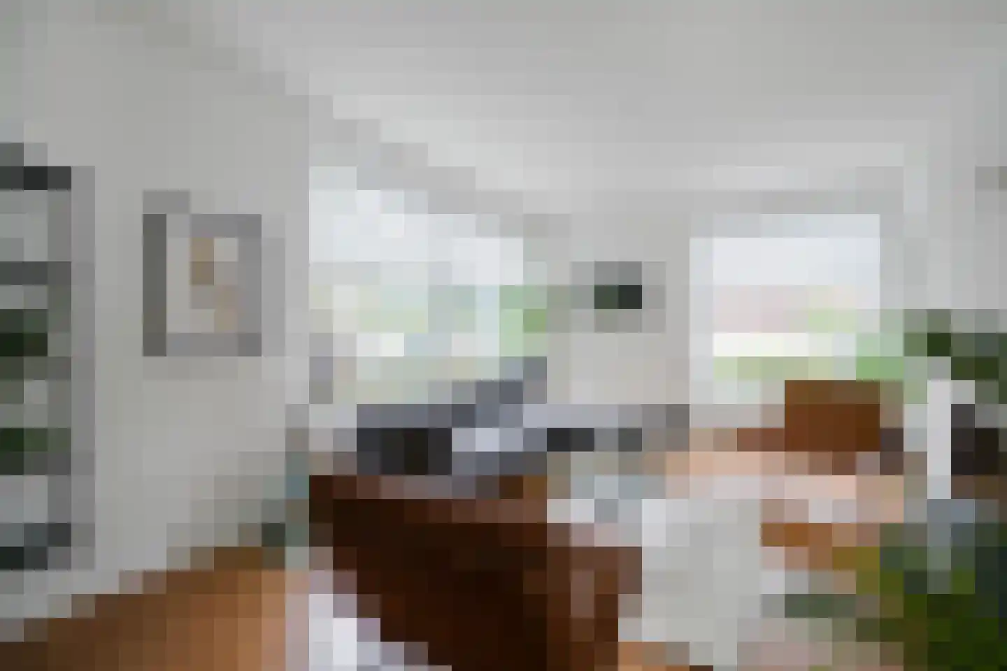Hengelolaan 1132 Den Haag thumbnail 5
