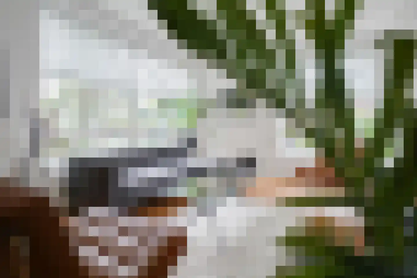 Hengelolaan 1132 Den Haag thumbnail 6